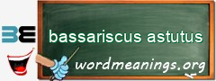 WordMeaning blackboard for bassariscus astutus